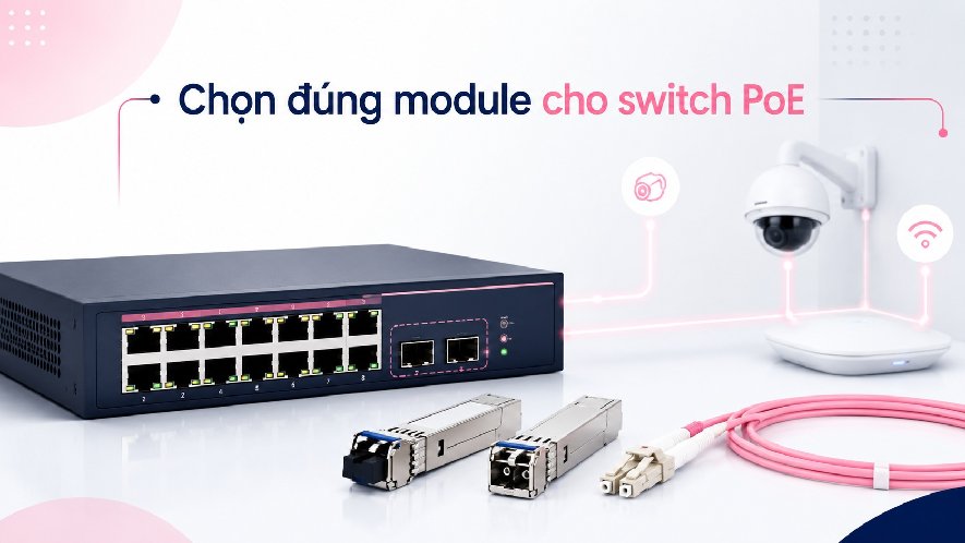 Module quang cho switch PoE: cần kiểm tra gì khi kết nối camera, WiFi AP và thiết bị mạng?