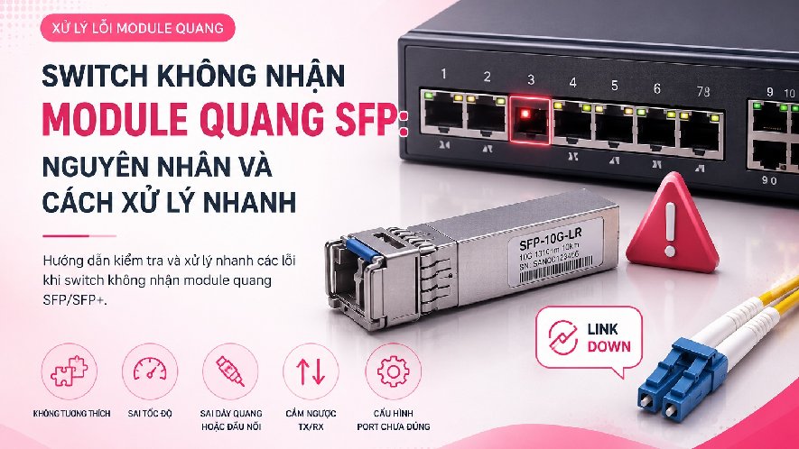 Switch không nhận module quang SFP: nguyên nhân và cách xử lý nhanh