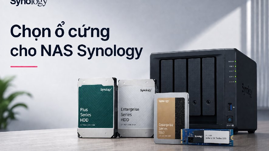 NAS Synology nên dùng ổ cứng nào? HDD vs SSD vs NAS chuyên dụng